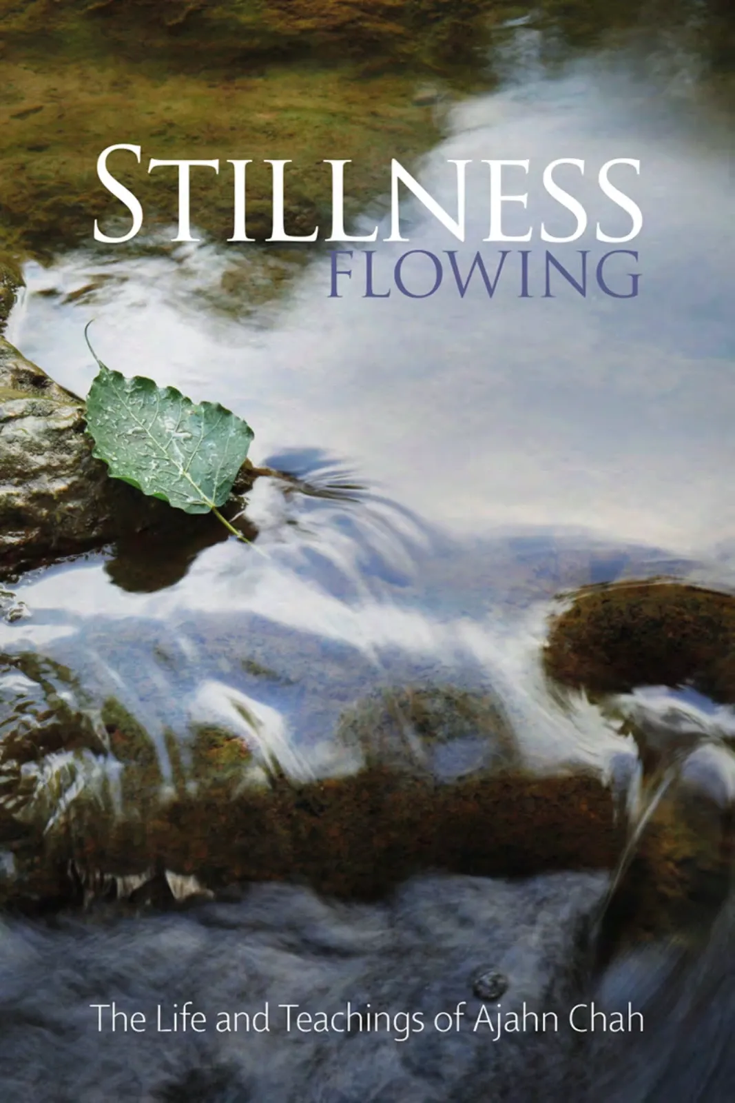Stillness Flowing:阿姜查的生平与教导
